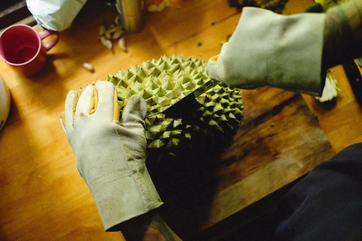 Djirian durian orchard