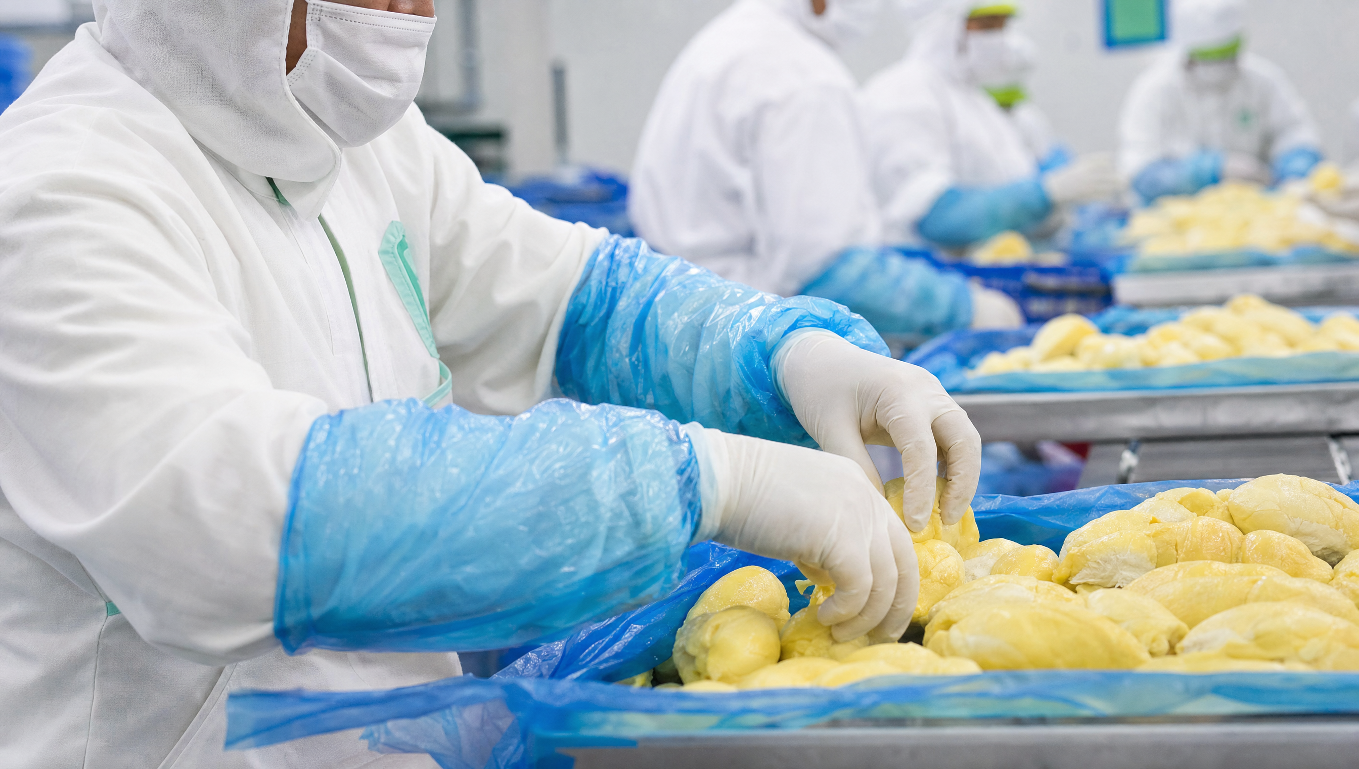 Djirian durian process in the Di Linh highlands